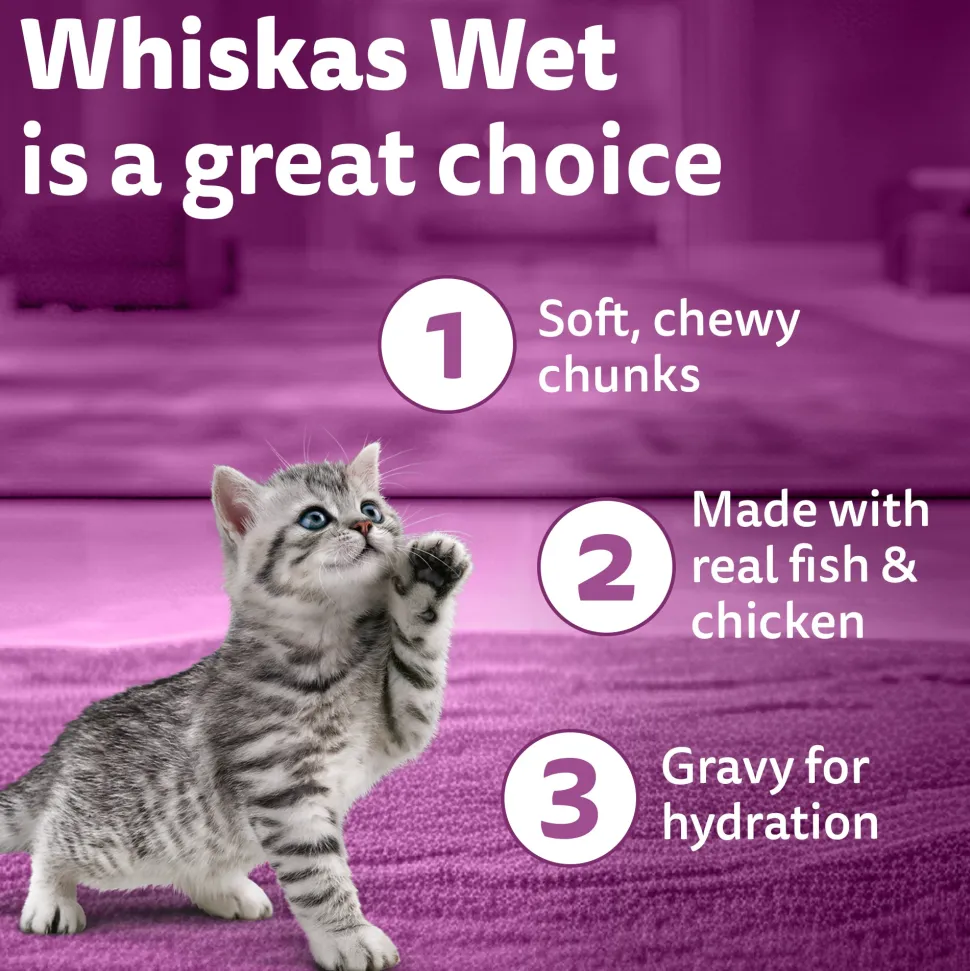 Whiskas Chicken With Salmon In Jelly Wet Food For Junior (2-12 Months) Kitten - 80 gm Pack