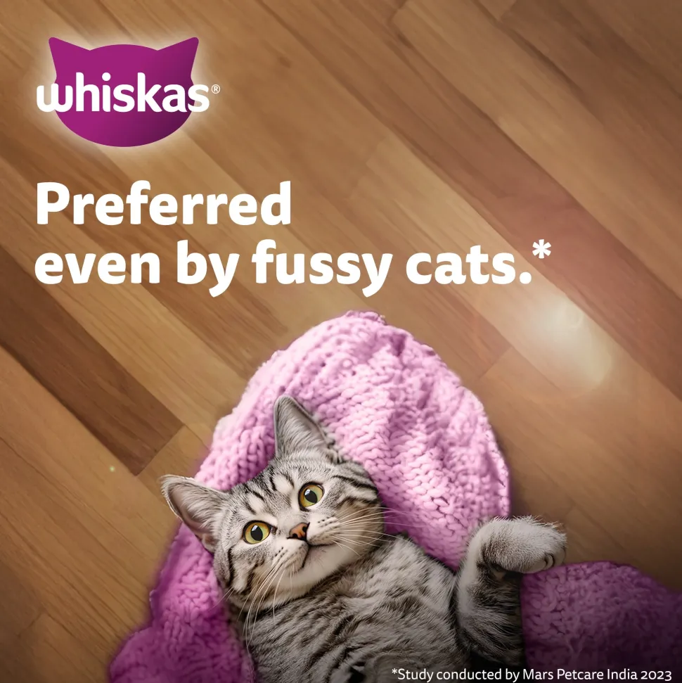 Whiskas Junior Kitten (2-12 Months) Chicken in Gravy Wet Cat Food - 80 gm Pack