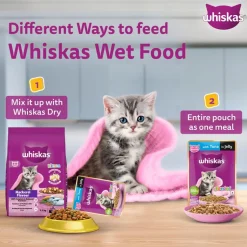 Whiskas Junior Kitten (2-12 Months) Chicken in Gravy Wet Cat Food - 80 gm Pack