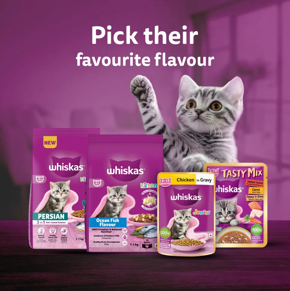 Whiskas Junior Kitten (2-12 Months) Tuna in Jelly Wet Cat Food - 80 gm Pack