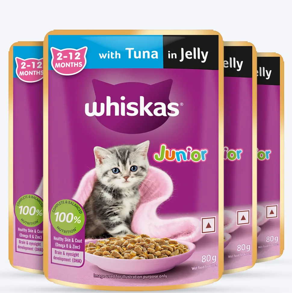 Whiskas Junior Kitten (2-12 Months) Tuna in Jelly Wet Cat Food - 80 gm Pack