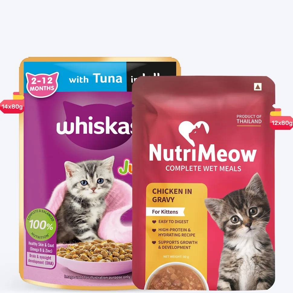 Whiskas Junior Kitten (2-12 Months) Tuna in Jelly Wet Cat Food - 80 gm Pack