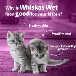 Whiskas Mackerel In Jelly Wet Food For Junior (2-12 Months) Kitten - 80 gm Pack