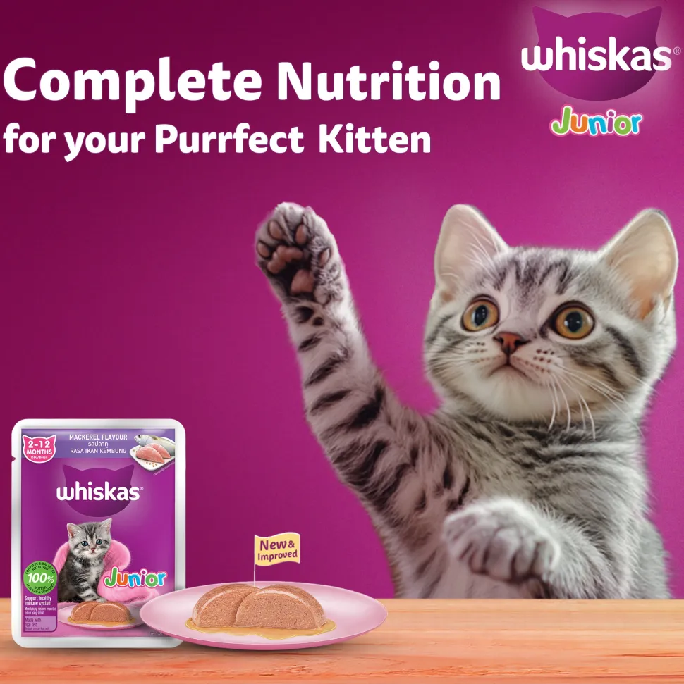 Whiskas Mackerel In Jelly Wet Food For Junior (2-12 Months) Kitten - 80 gm Pack