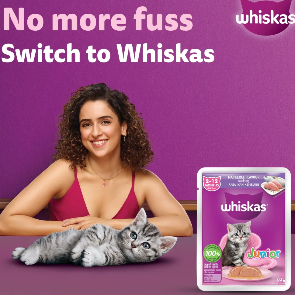 Whiskas Mackerel In Jelly Wet Food For Junior (2-12 Months) Kitten - 80 gm Pack