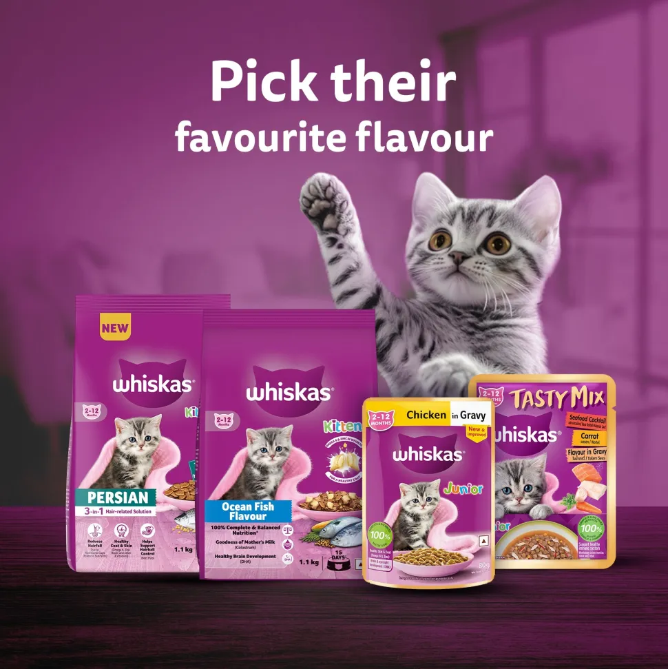 Whiskas Mackerel In Jelly Wet Food For Junior (2-12 Months) Kitten - 80 gm Pack