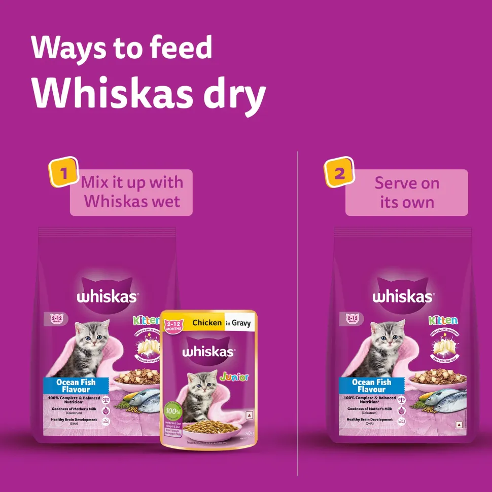Whiskas Ocean Fish Dry Food For Kitten (2-12 Months)