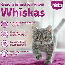 Whiskas Ocean Fish Dry Food For Kitten (2-12 Months)
