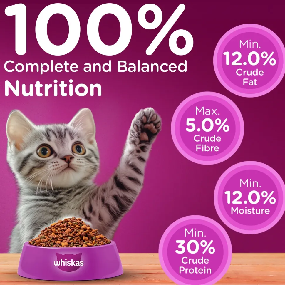 Whiskas Ocean Fish Dry Food For Kitten (2-12 Months)