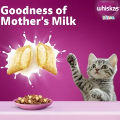 Whiskas Ocean Fish Dry Food For Kitten (2-12 Months)