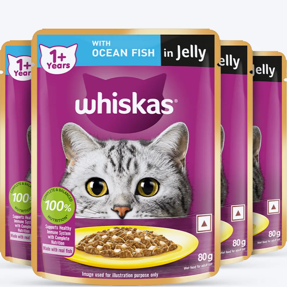 Whiskas Ocean Fish Wet Food For Adult Cat - 80 gm Pack