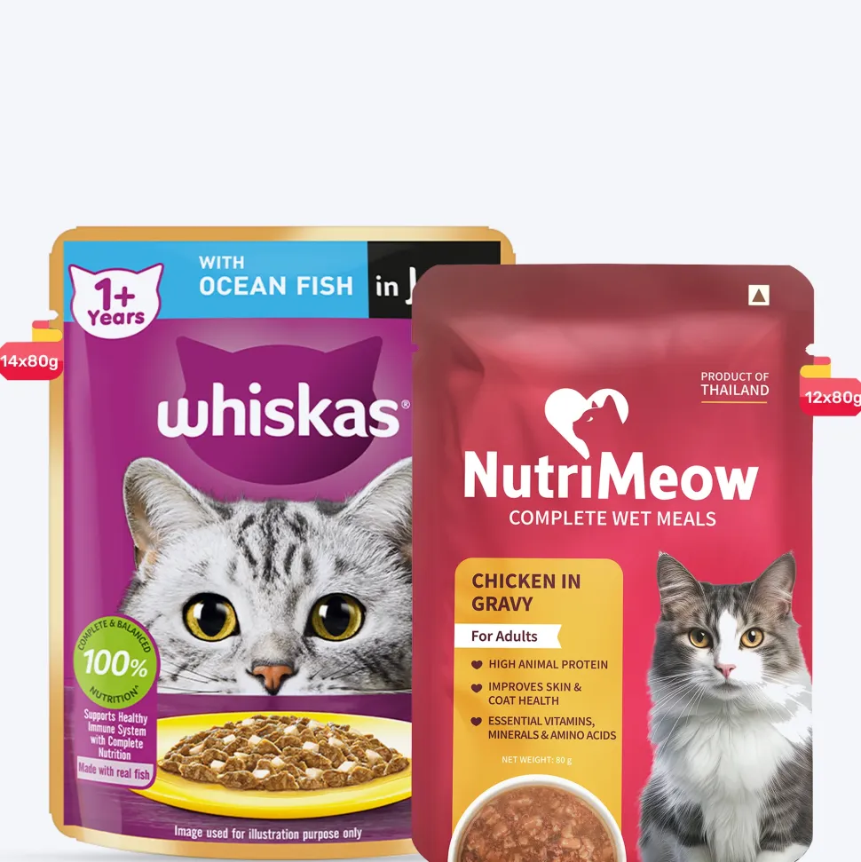 Whiskas Ocean Fish Wet Food For Adult Cat - 80 gm Pack