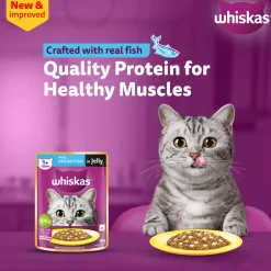 Whiskas Ocean Fish Wet Food For Adult Cat - 80 gm Pack