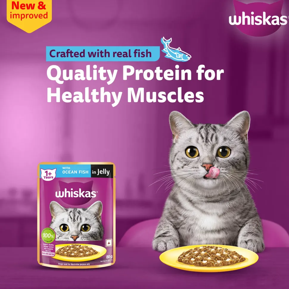 Whiskas Ocean Fish Wet Food For Adult Cat - 80 gm Pack