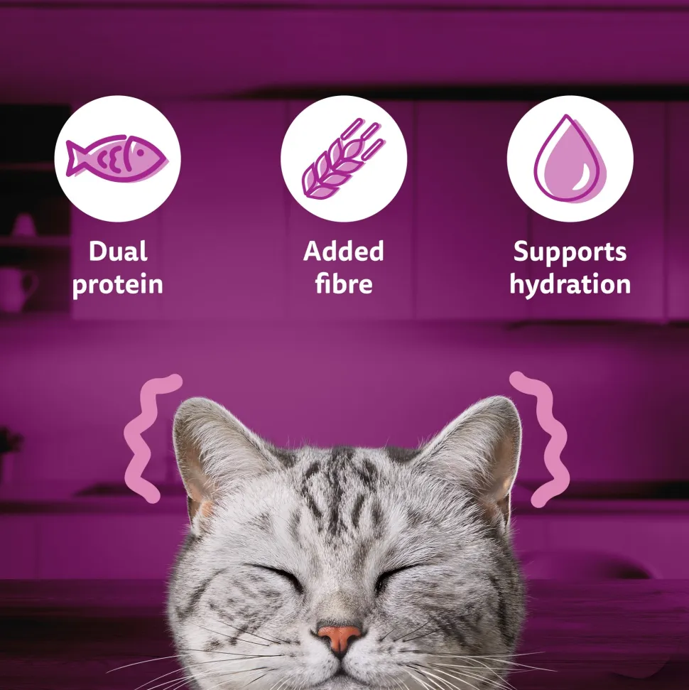 Whiskas Tasty Mix Adult (1+ year) Chicken With Tuna & Carrot in Gravy Wet Cat Food - 70 gm Pack