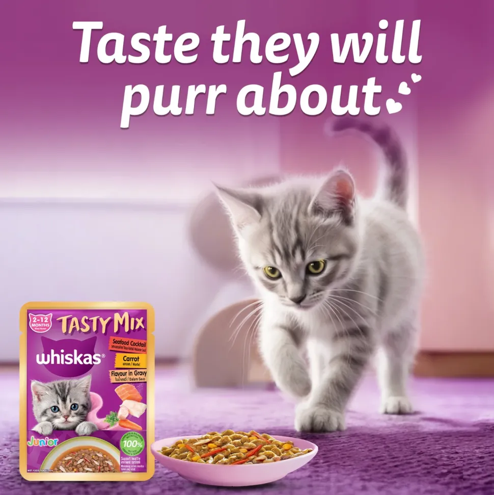 Whiskas Tasty Mix Seafood Cocktail With Carrot In Gravy Wet Food For Junior (2-12 Months) Kitten- 70 gm Pack