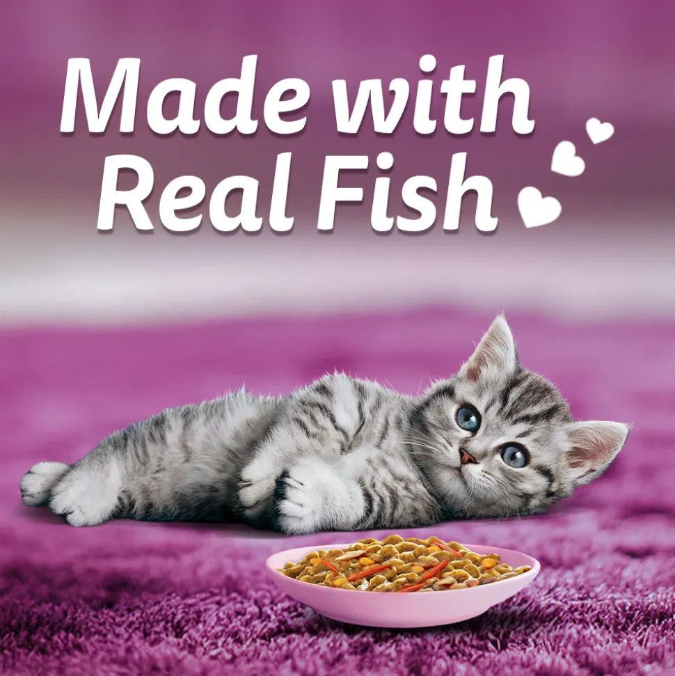 Whiskas Tasty Mix Seafood Cocktail With Carrot In Gravy Wet Food For Junior (2-12 Months) Kitten- 70 gm Pack