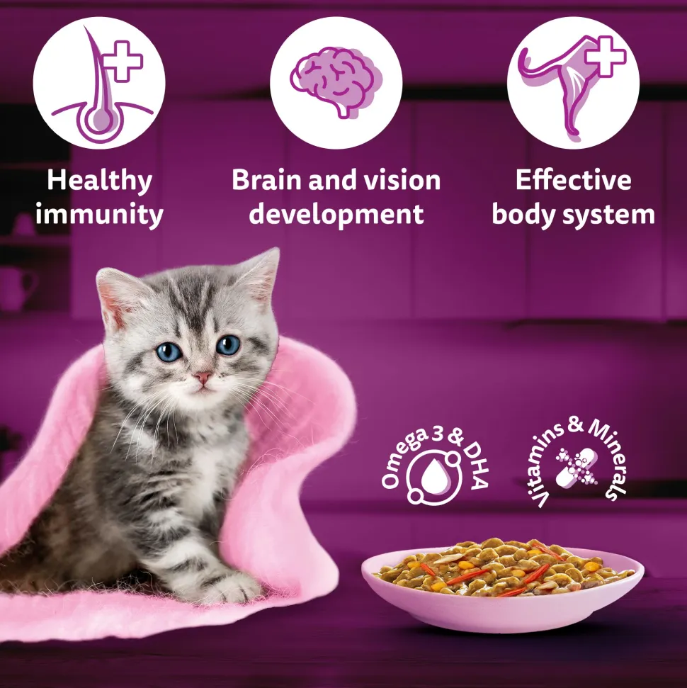 Whiskas Tasty Mix Seafood Cocktail With Carrot In Gravy Wet Food For Junior (2-12 Months) Kitten- 70 gm Pack