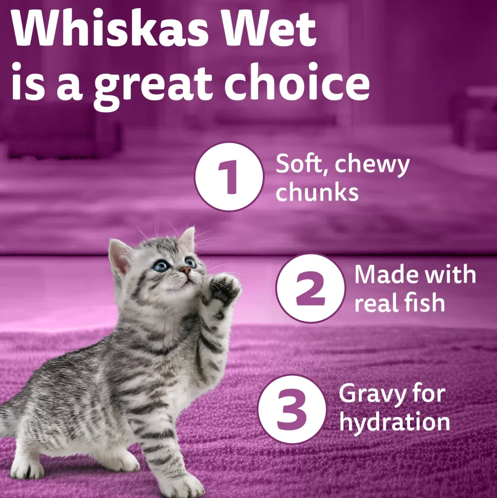 Whiskas Tasty Mix Seafood Cocktail With Carrot In Gravy Wet Food For Junior (2-12 Months) Kitten- 70 gm Pack