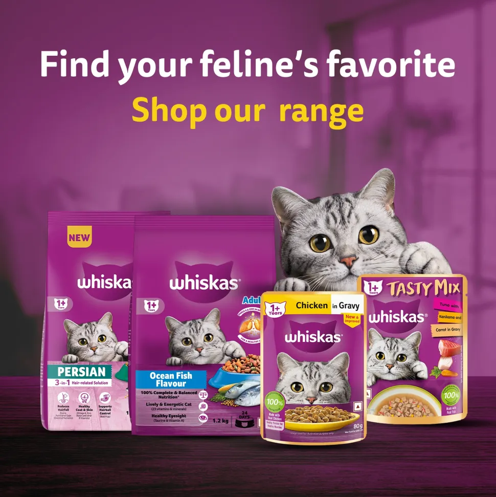 Whiskas Tasty Mix Wet Food Made With Real Fish (Tuna & Kanikama), And Carrot in Gravy For Adult (1+ year) Cat - 70 gm Pack