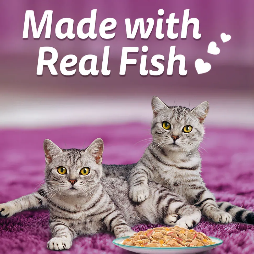 Whiskas Tasty Mix Wet Food Made With Real Fish (Tuna & Kanikama), And Carrot in Gravy For Adult (1+ year) Cat - 70 gm Pack