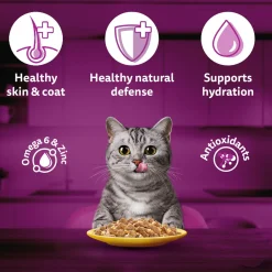 Whiskas Tuna And White Fish Wet Food For Adult Cat - 80 gm