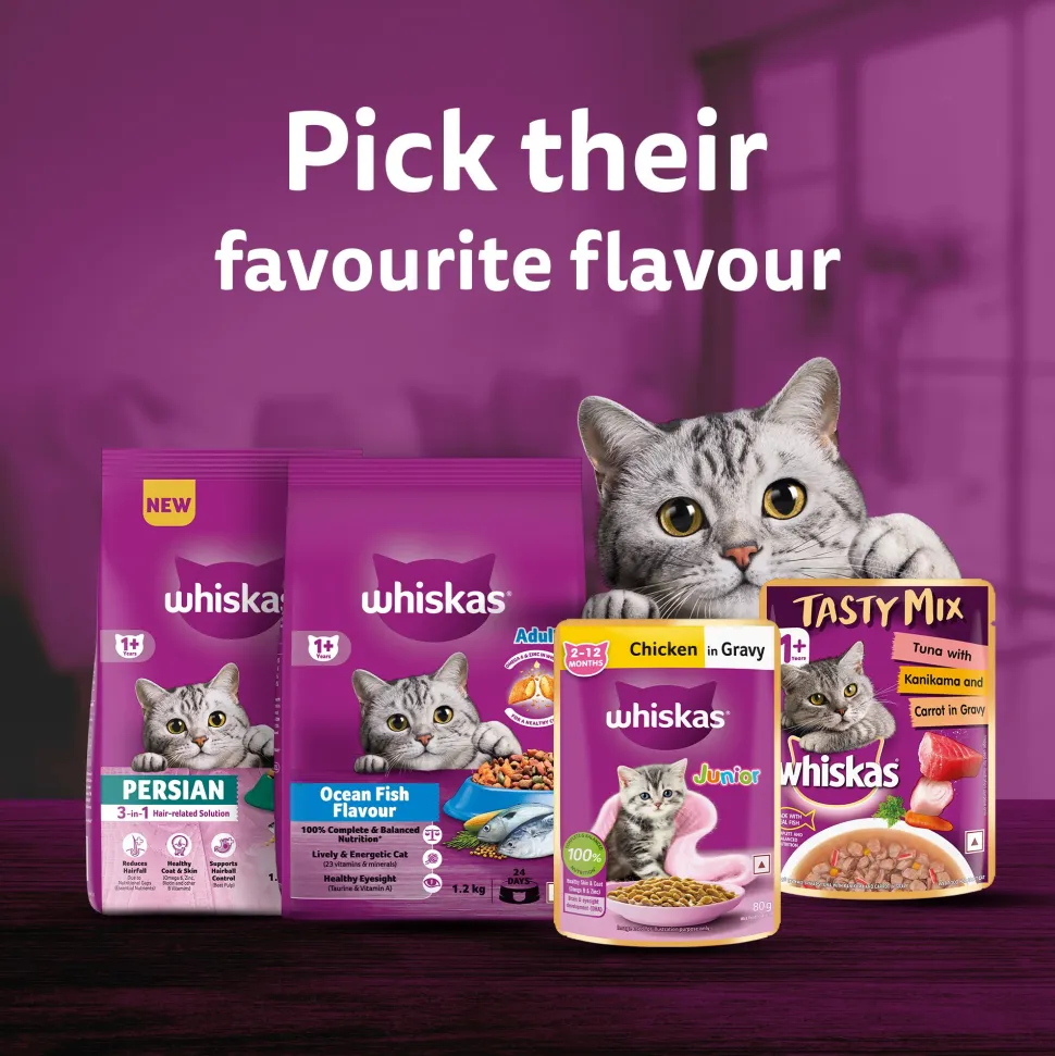 Whiskas Tuna in Jelly (1+ Years) Wet Food For Adult Cat - 80 gm Pack